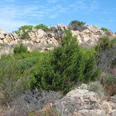 Calarossa Sardegna Casa Al Mare Apartamento