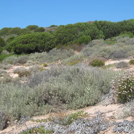 Apartamento Calarossa Sardegna Casa Al Mare Trinità dʼAgultu