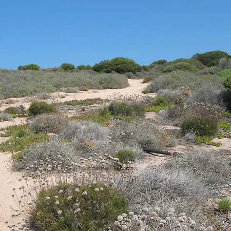 Calarossa Sardegna Casa Al Mare Apartamento